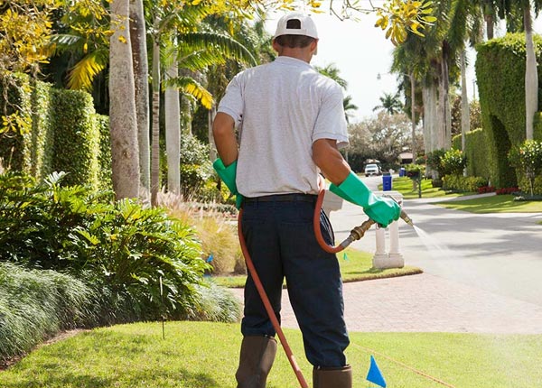 About Forbes Road PA Pest Control